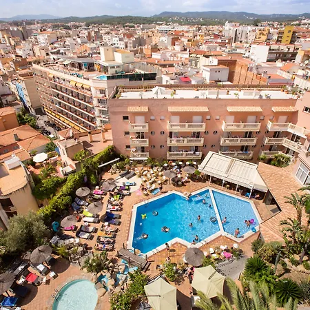 Hotel Alba Seleqtta-2
